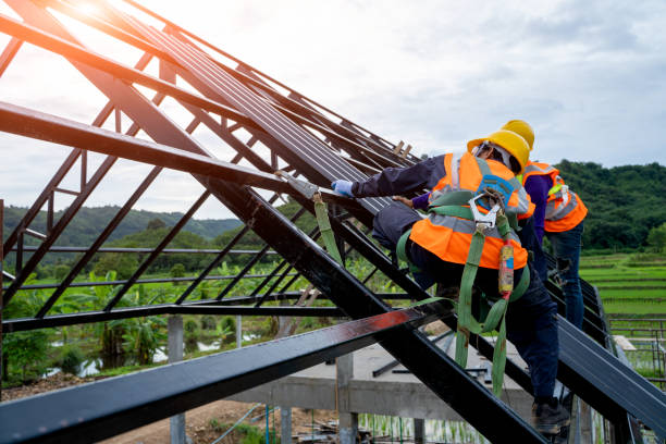 Best Shingle Roofing Installation  in New Buffalo, MI