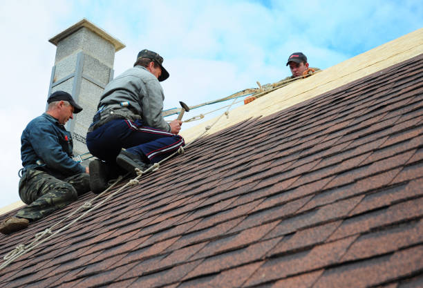 Roof Gutter Cleaning in New Buffalo, MI